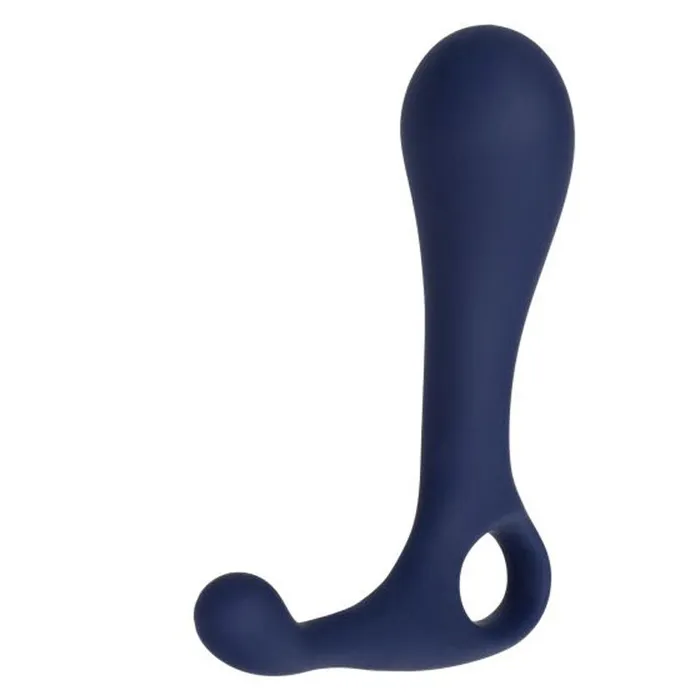 California Exotic Anal | Viceroy Direct Probe
