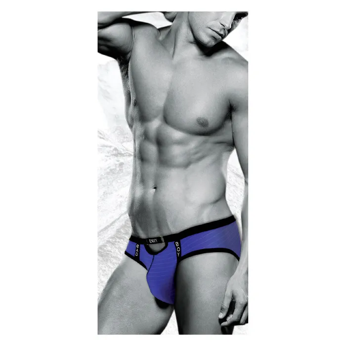Slip classici Envy Viola S/M | Envy Vibrators Slip classici Envy Viola S/M | Envy Vibrators