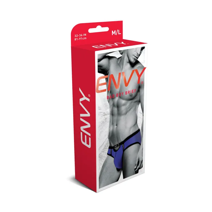 Slip classici Envy Viola S/M | Envy Vibrators Slip classici Envy Viola S/M | Envy Vibrators